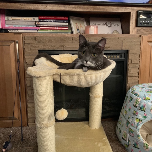 Meet your Posher, Amanda - Picture 6 of 8